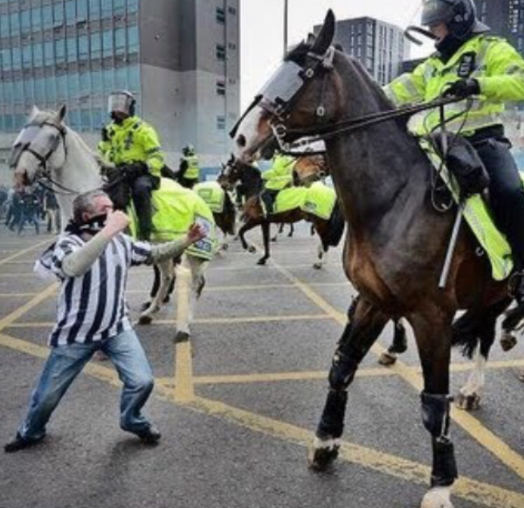 Newcastle punch horses